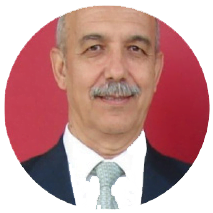 Pedro Prieto (experto divulgador en energía)